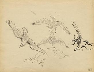 Archive 8Nov2001 Disk#1