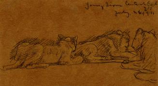 Archive 26Nov2001 Disk#1