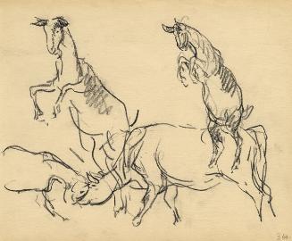 Archive 1November2001 Disk#1