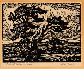 Archive 8Mar2002 Disk#2