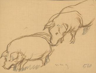 Archive 19May2000 Disk#1