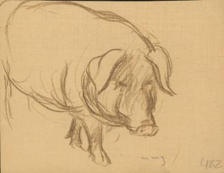 Archive 19May2000 Disk#1