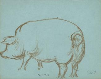 Archive 19May2000 Disk#1