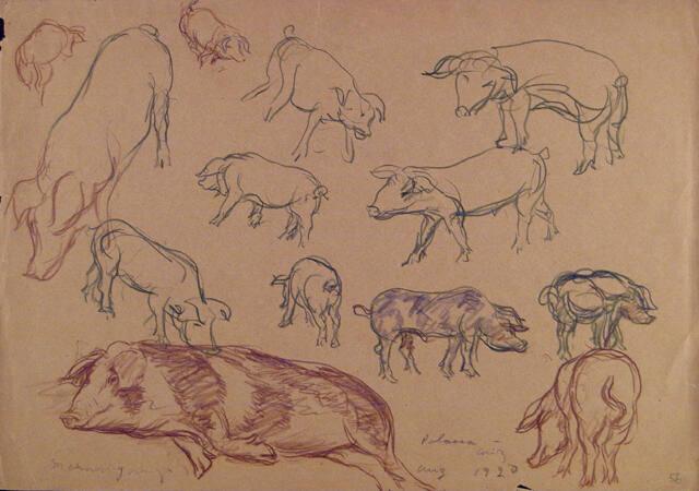 Archive 11May2001 Disk#1