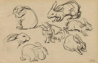 Archive 8Nov2001 Disk#1