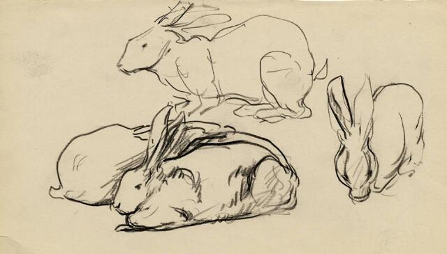 Archive 8Nov2001 Disk#2