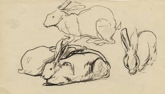 Archive 8Nov2001 Disk#2