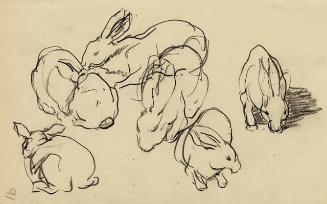 Archive 8Nov2001 Disk#2