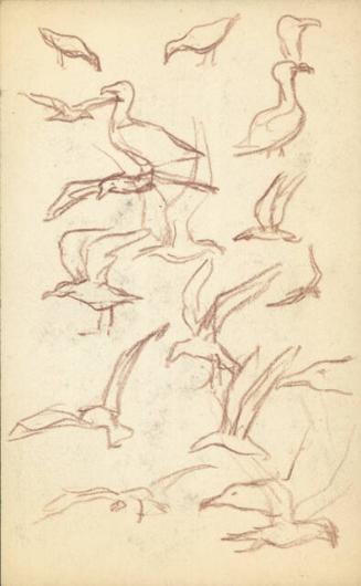 Archive 31May2000 Disk#2