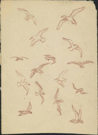 Archive 31May2000 Disk#2