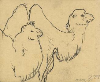 Archive 19May2000 Disk#2