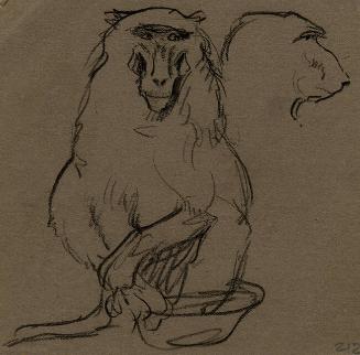 Archive 8Nov2001 Disk#1