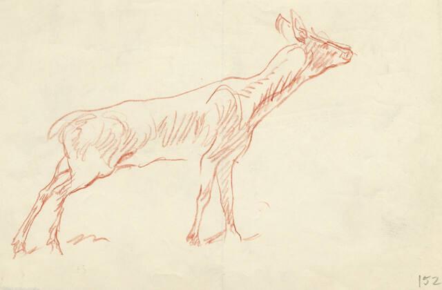 Archive 8Nov2001 Disk#2