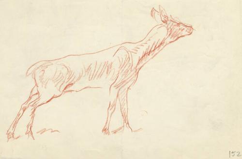 Archive 8Nov2001 Disk#2