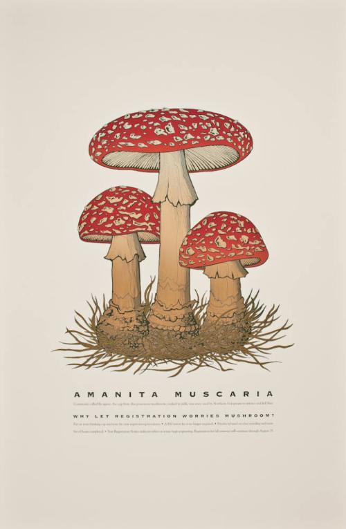 AMANITA MUSCARIA