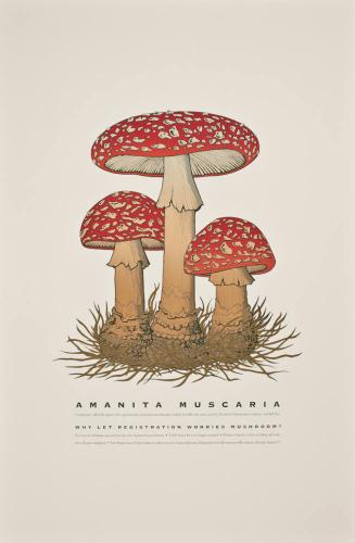 AMANITA MUSCARIA