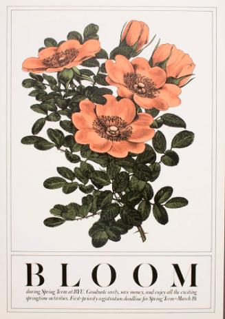 BLOOM