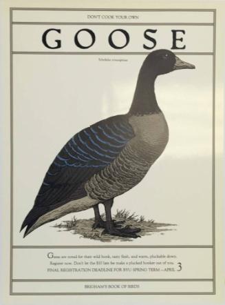 GOOSE