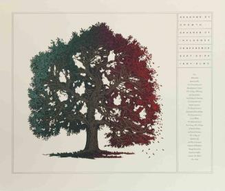 SEASONS OF GROWTH