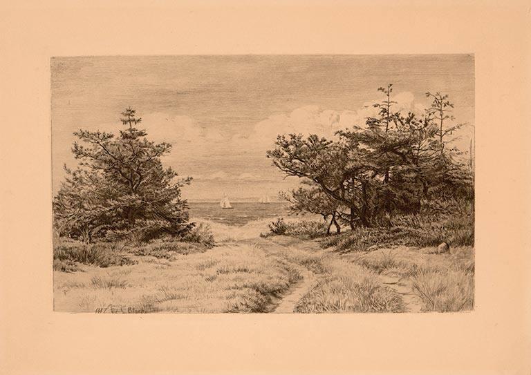 THE VIEW OF THE OCEAN