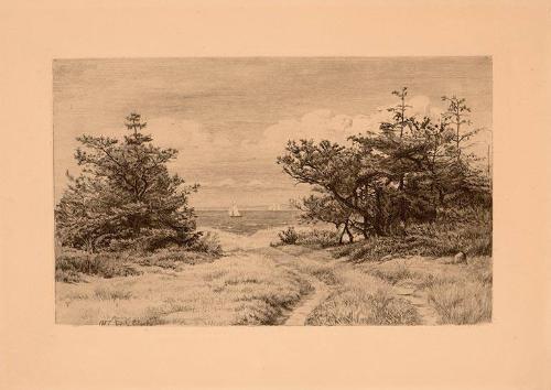 THE VIEW OF THE OCEAN