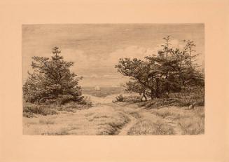 THE VIEW OF THE OCEAN