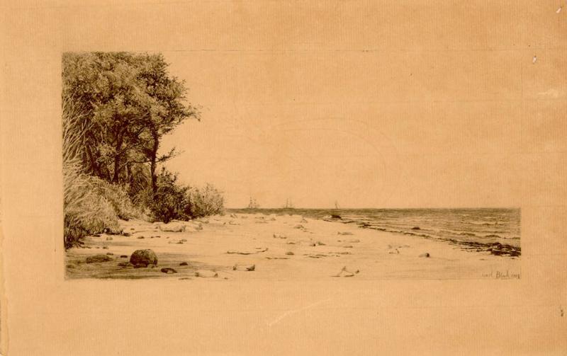 THE SHORE OF THE SEA