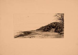 THE STEEP SLOPE AT OCEAN