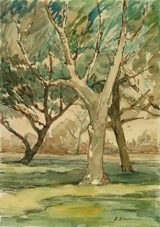TREES IN THE PARK