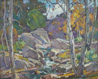 CANYON STREAM