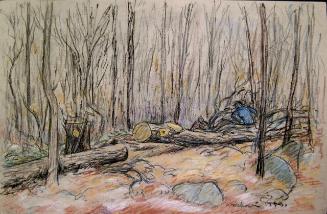 Archive 24May2001 Disk#3