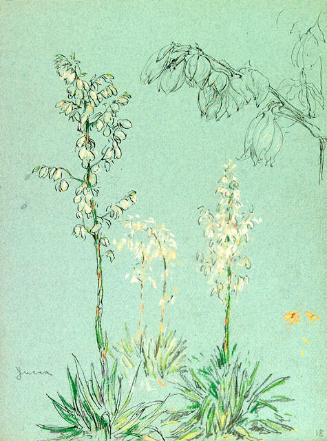 Archive 21May2002 Disk#1