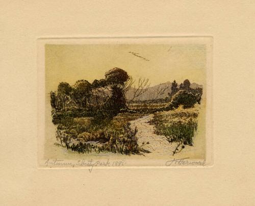 Archive 11July2001 Disk #2