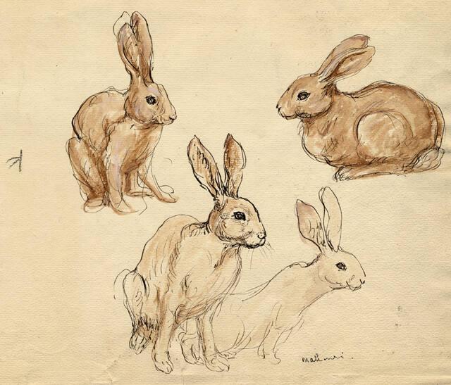 Archive 1November2001 Disk#1