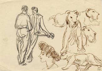 DOG AND PEOPLE STUDY