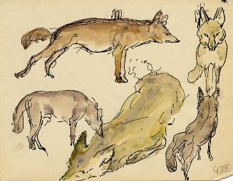 Archive 8Nov2001 Disk#1