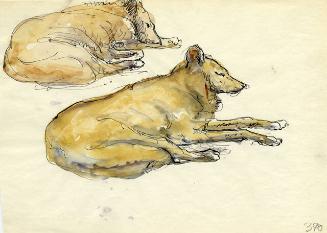 Archive 8Nov2001 Disk#1