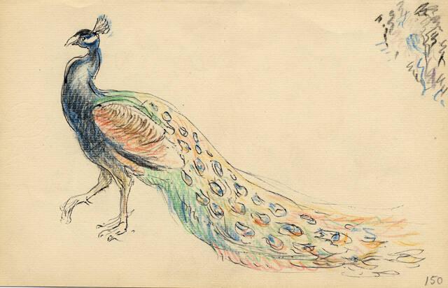 Archive 8Nov2001 Disk#1