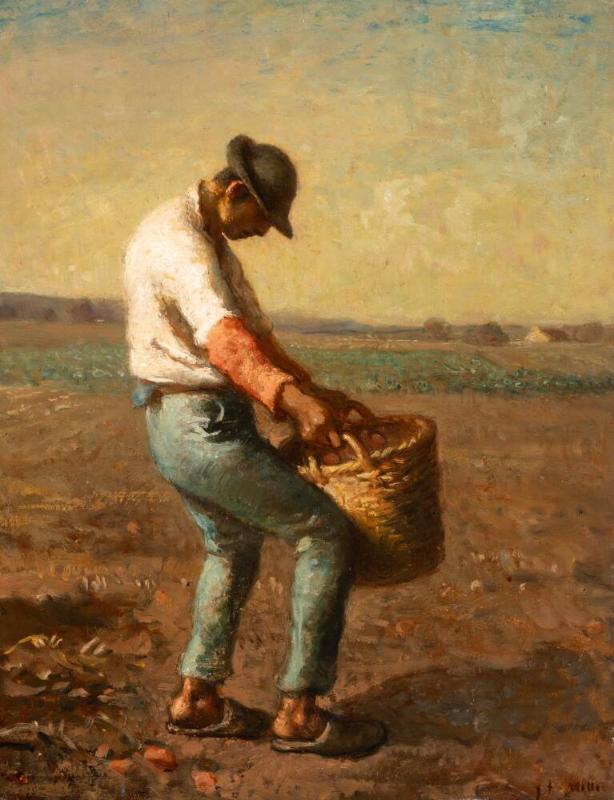 RÉCOLTEUSE DE POMMES DE TERRE