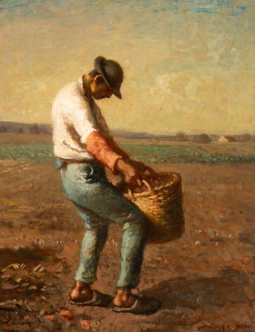 RÉCOLTEUSE DE POMMES DE TERRE