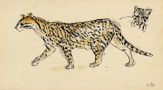 Archive 26Nov2001 Disk#1