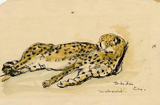 Archive 8Nov2001 Disk#2