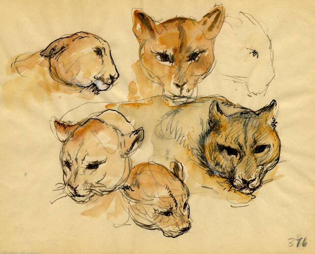 Archive 8Nov2001 Disk#2