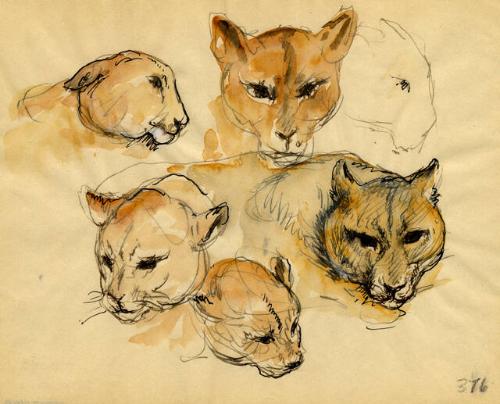 Archive 8Nov2001 Disk#2