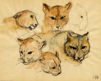 Archive 8Nov2001 Disk#2