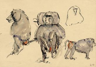 Archive 8Nov2001 Disk#2