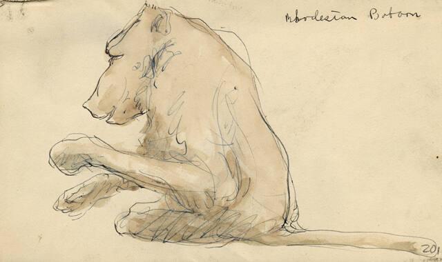 Archive 8Nov2001 Disk#1