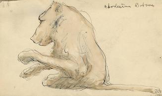 Archive 8Nov2001 Disk#1