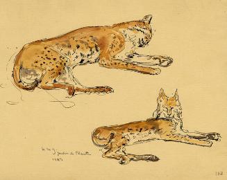 Archive 8Nov2001 Disk#1