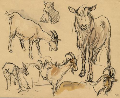 Archive 26Nov2001 Disk#1